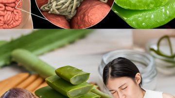 🌱 I Used Aloe Vera in My Hair for 7 Days and This Is What Happened